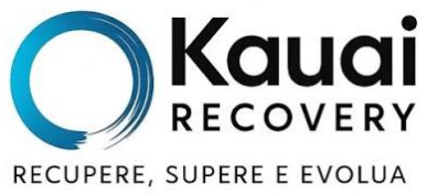 Kauai Recovery